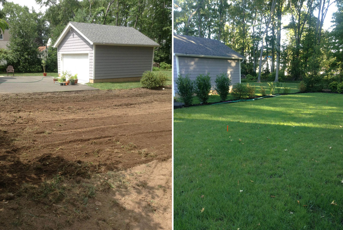 Grading of rear yard and new seed lawn installation
