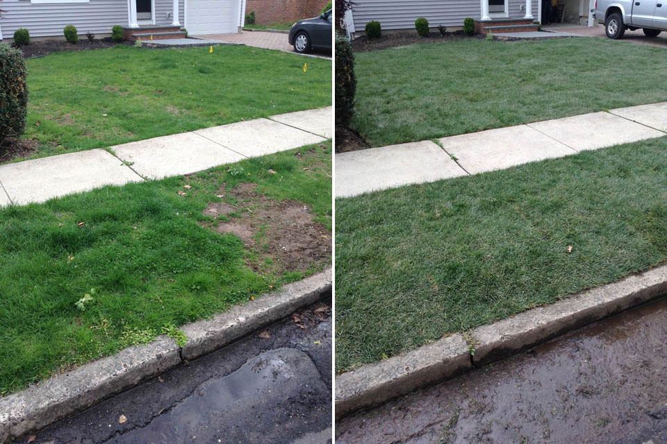 Grading and Sod Landscaping Project - Before & After