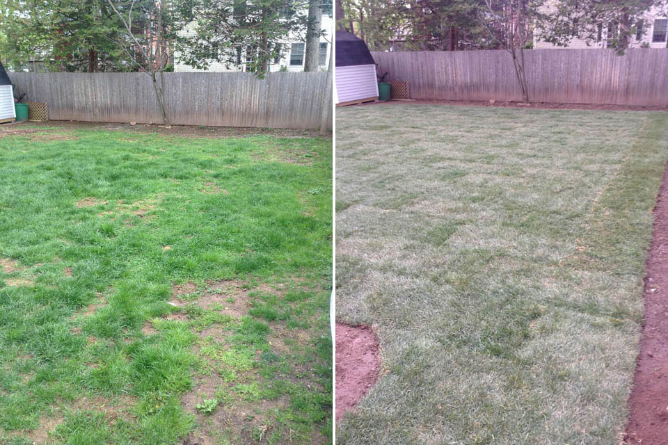 Grading and Sod Landscaping Project - Before & After