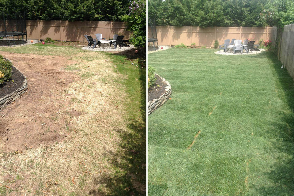 Landscaping with Sod - Before & After